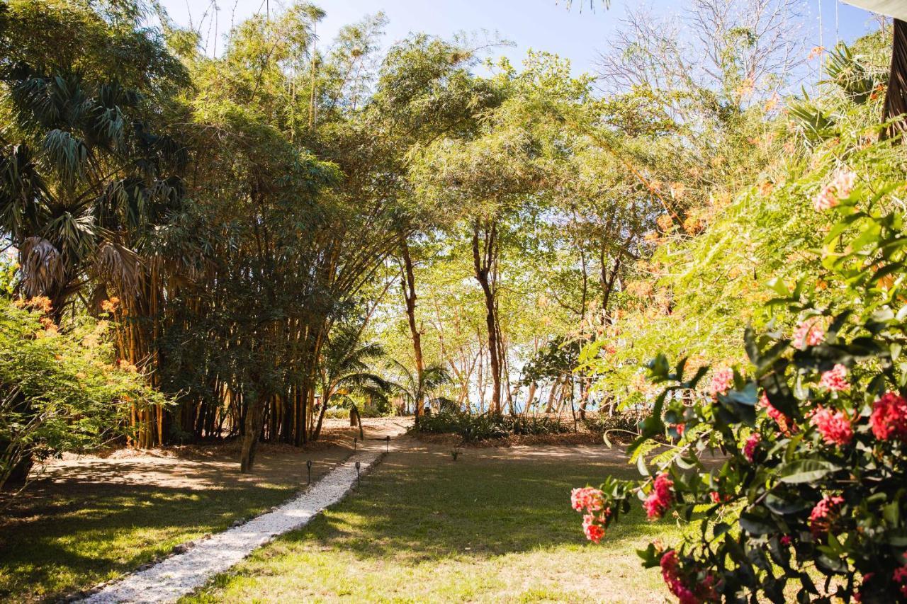 Villas Almendros Playa Santa Teresa  Ngoại thất bức ảnh