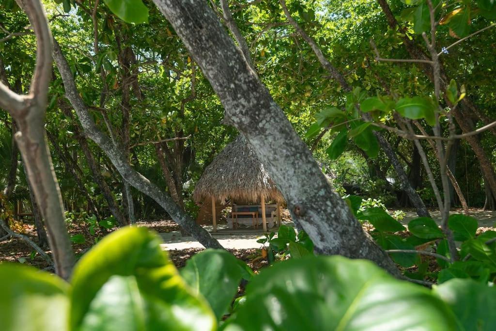 Villas Almendros Playa Santa Teresa  Ngoại thất bức ảnh
