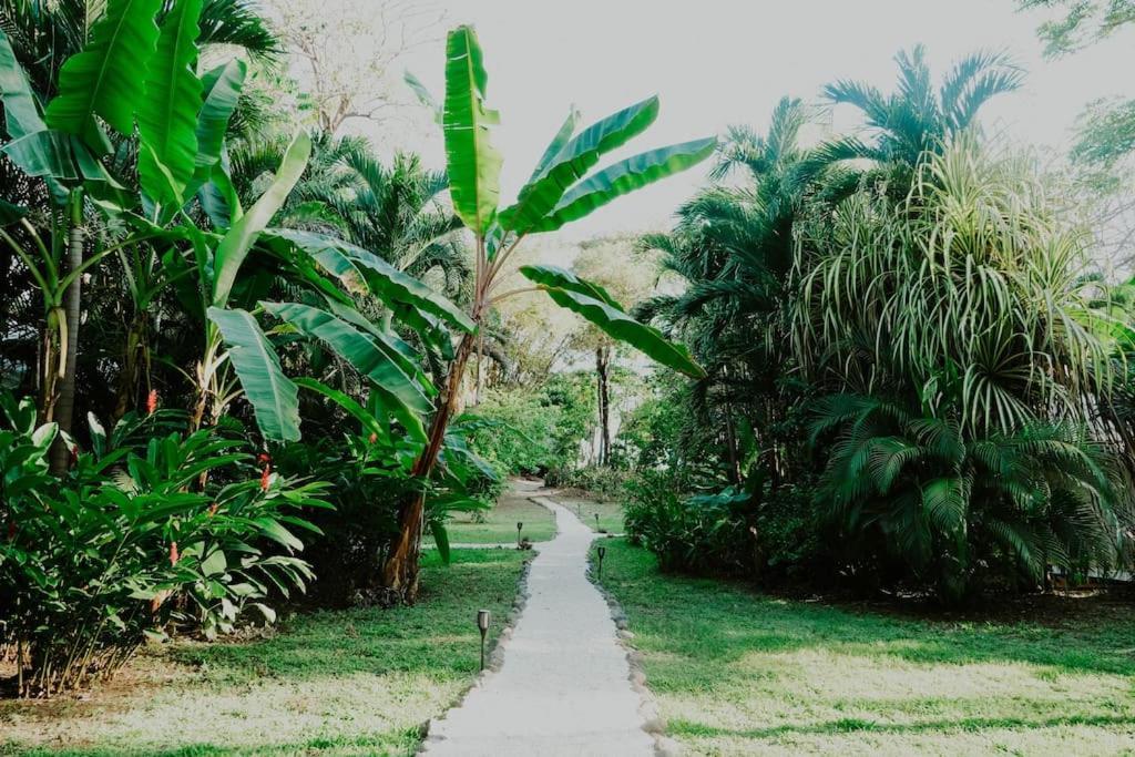 Villas Almendros Playa Santa Teresa  Ngoại thất bức ảnh