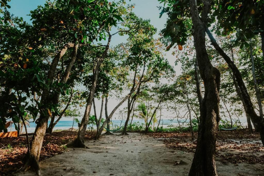 Villas Almendros Playa Santa Teresa  Ngoại thất bức ảnh