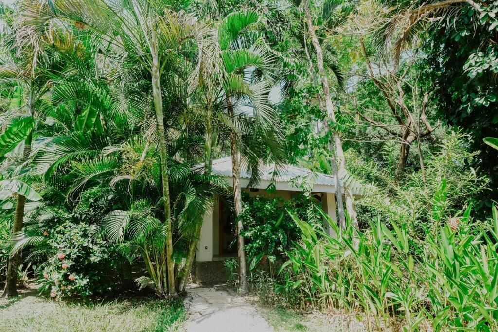 Villas Almendros Playa Santa Teresa  Ngoại thất bức ảnh